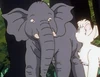 with tusks