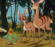 Pauly, Dodie, and Bucky