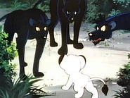 Pdvd 035.jpg (13 KB)