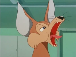 1965(Ethiopian Wolf)