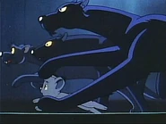 Pdvd 039.jpg (16 KB)