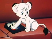 Pdvd 014.jpg (10 KB)