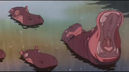 Hippos.png (816 KB)