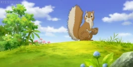 2009(Tree Squirrel)