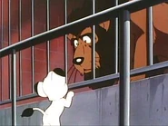 Pdvd 020.jpg (13 KB)