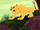 Mountain-lion.png