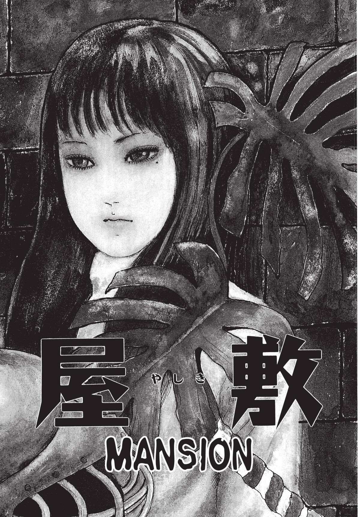 TOMI-E 富 | 富壱 |本 | 通販 | Amazon