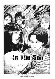 In the soil