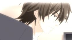 Junjou Romantica Wiki Fandom Characters, voice actors, producers and directors from the anime junjou romantica (junjo romantica) on myanimelist, the internet's largest anime database. junjou romantica wiki fandom