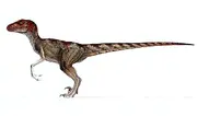 Velociraptor | Jurassic Blocky Wiki | Fandom