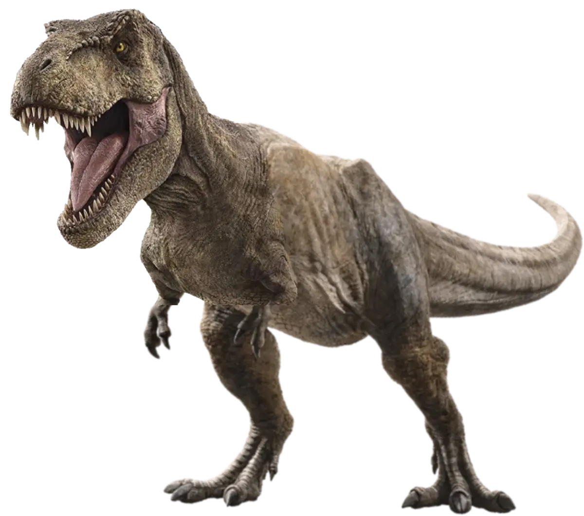 Rexy World of Raptors wiki Fandom