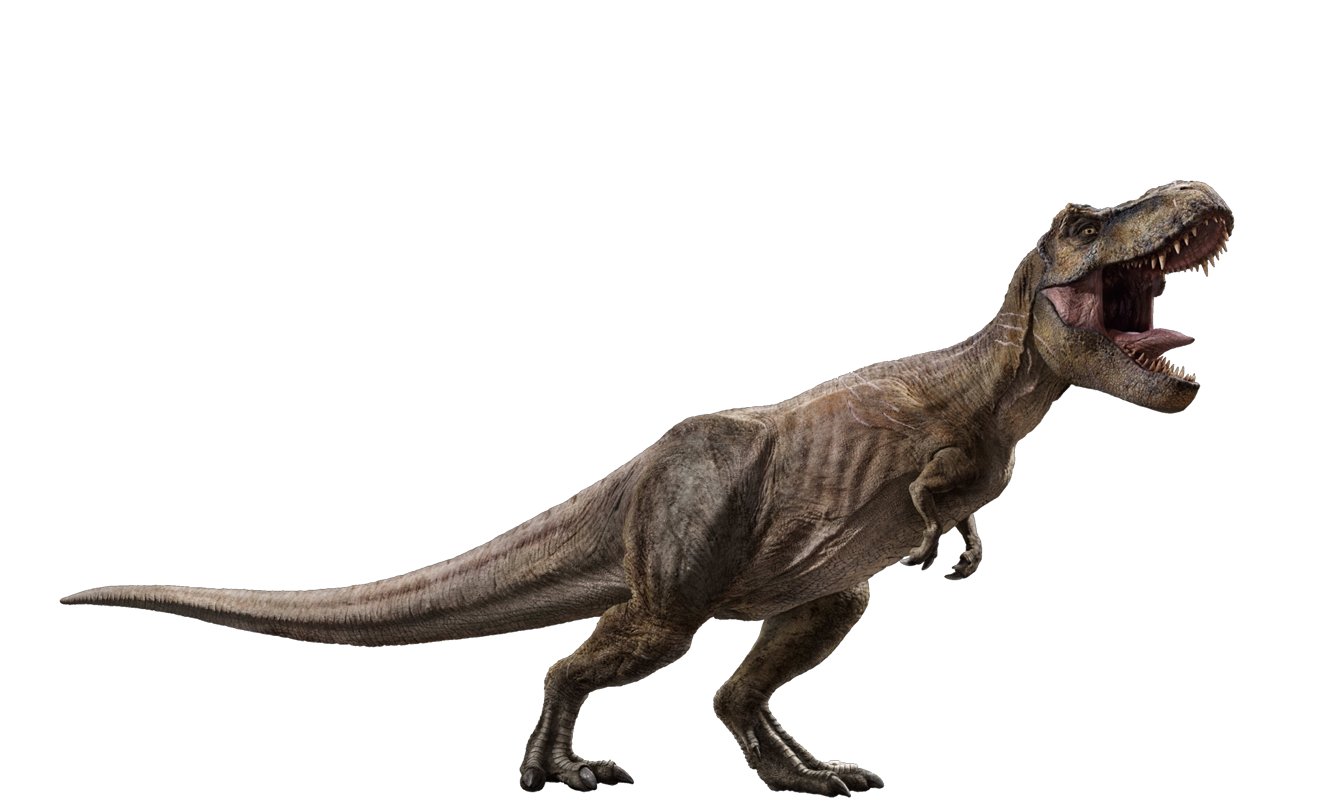 Tyrannosaurus rex, Wikia Jurassic Park