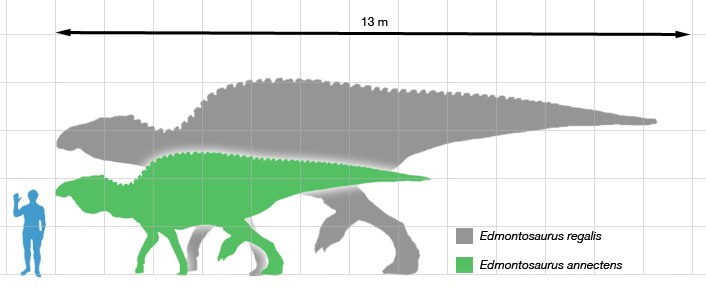 edmontosaurus size