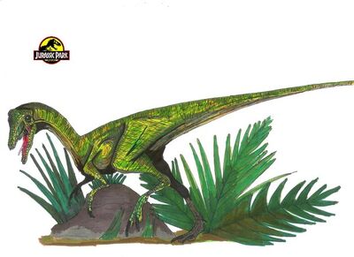 Compsognathus illustration 1