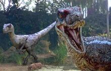 Raptor9