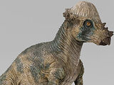 Pachycephalosaurus