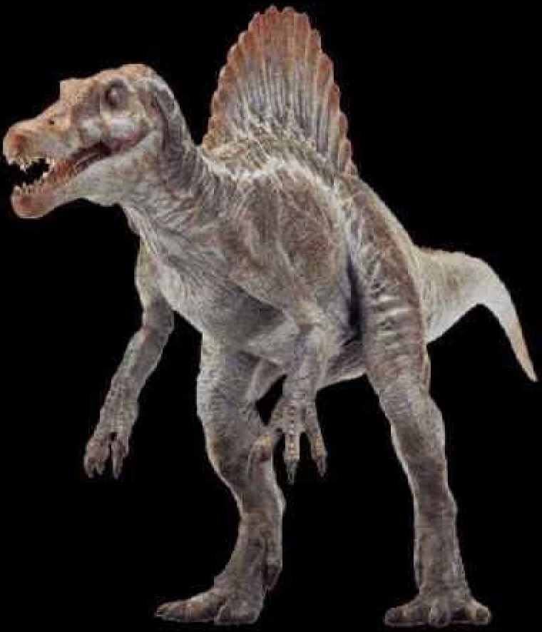 spinosaurus v
