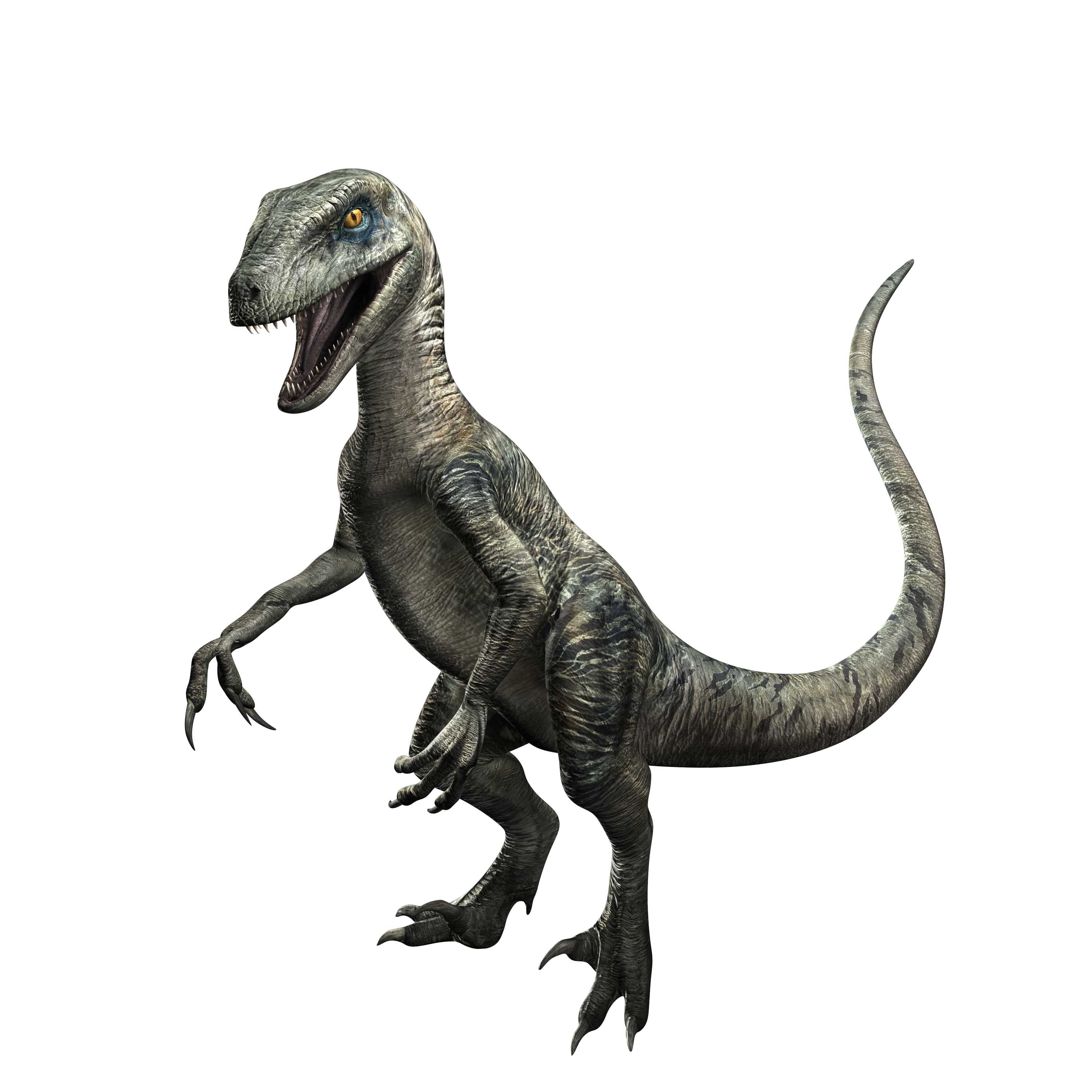 jurassic world velociraptor delta