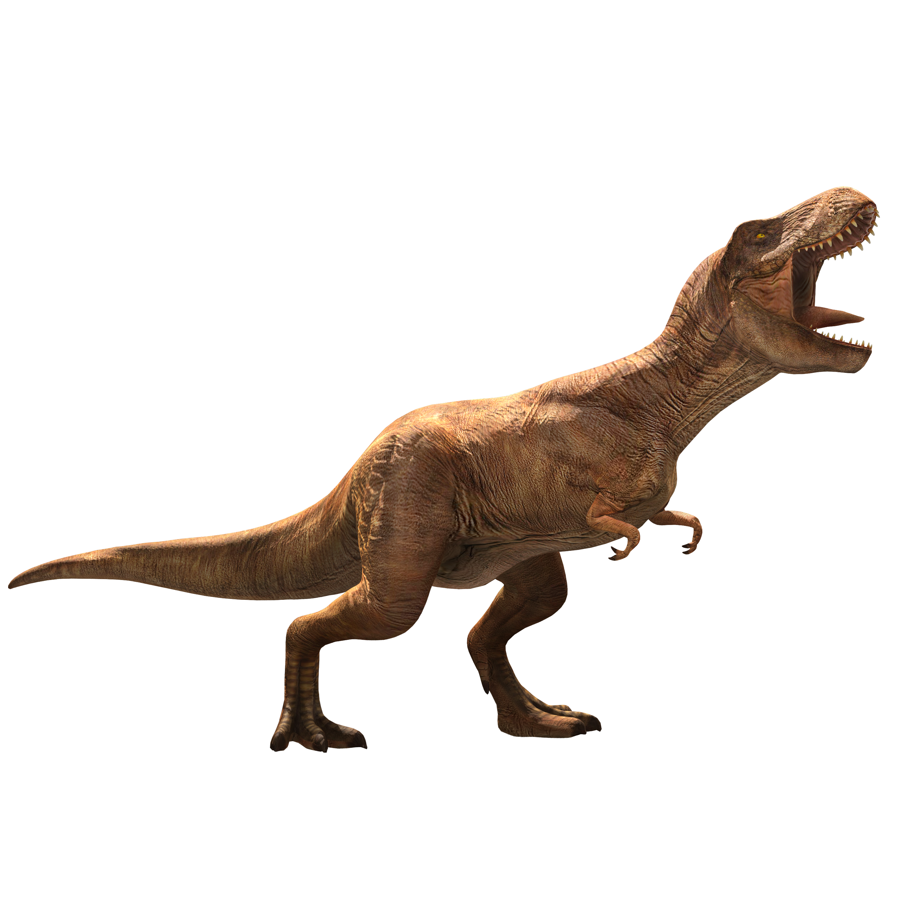 Jurassic wiki. Тираннозавр рекс. Тираннозавр рекс Jurassic World. Jurassic World Alive Тираннозавр. Тираннозавр рекс в Jurassic World Alive.