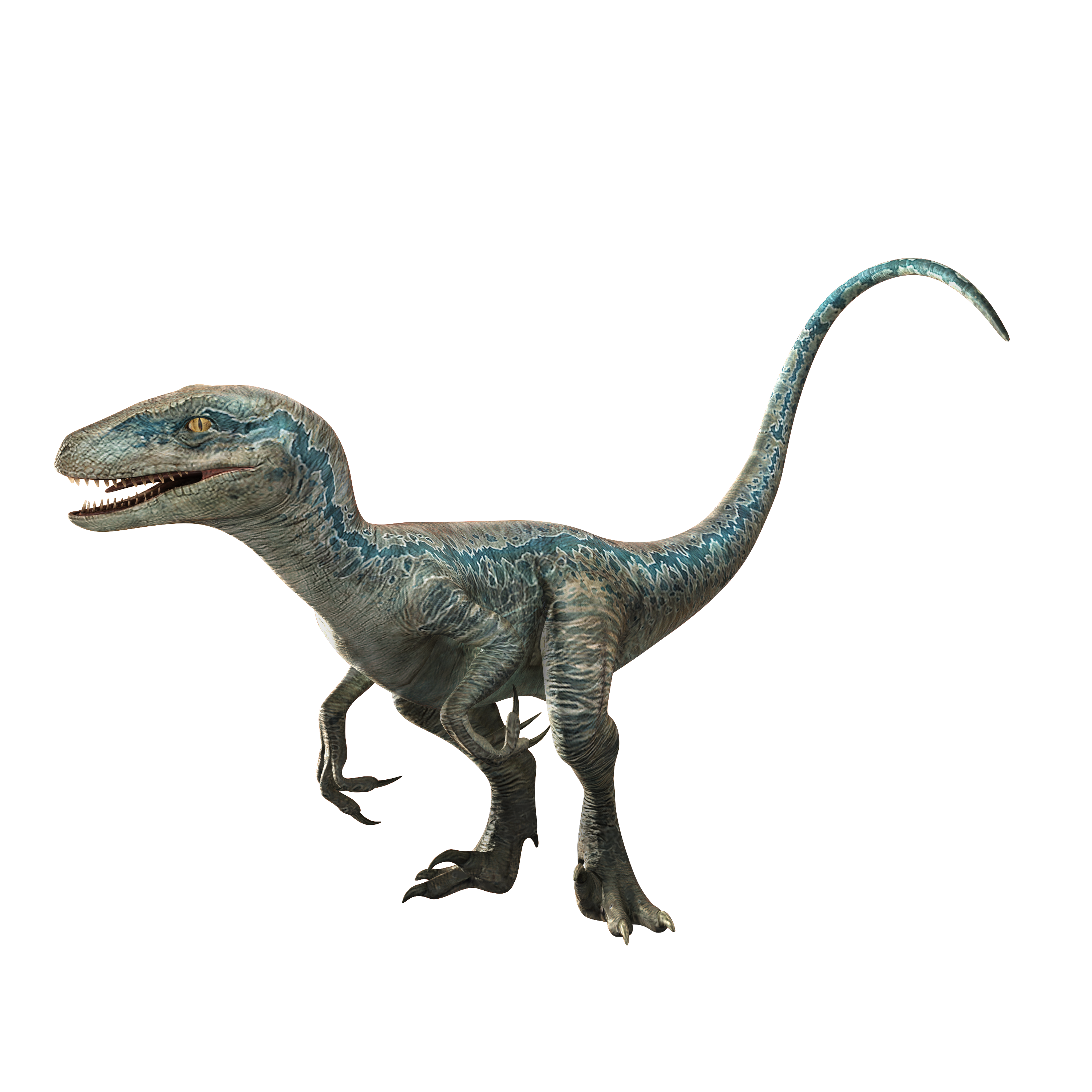 Blue Jurassic World Alive Wiki Fandom