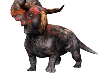 259?cb=20200709203747