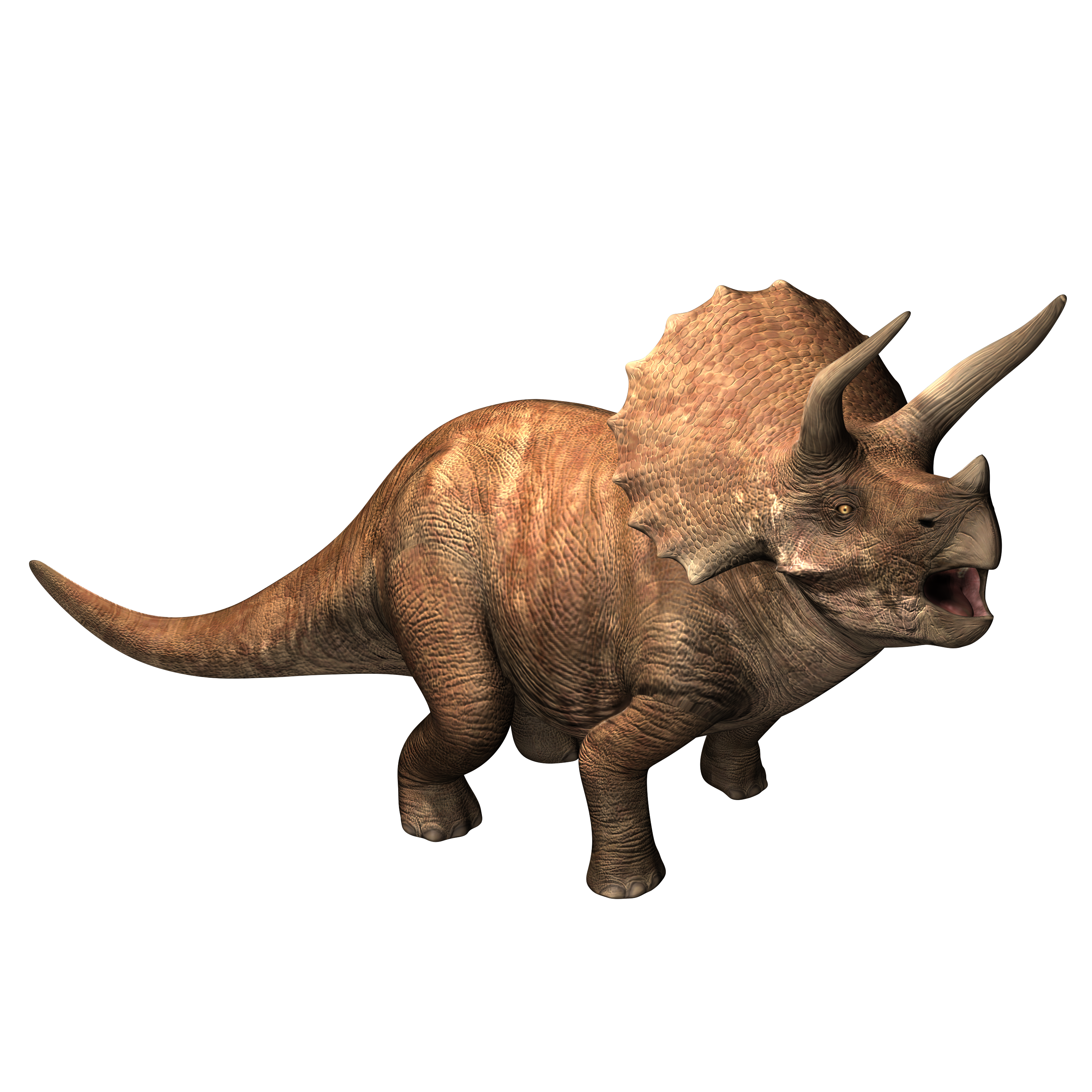 Triceratops, Jurassic World Alive Wiki