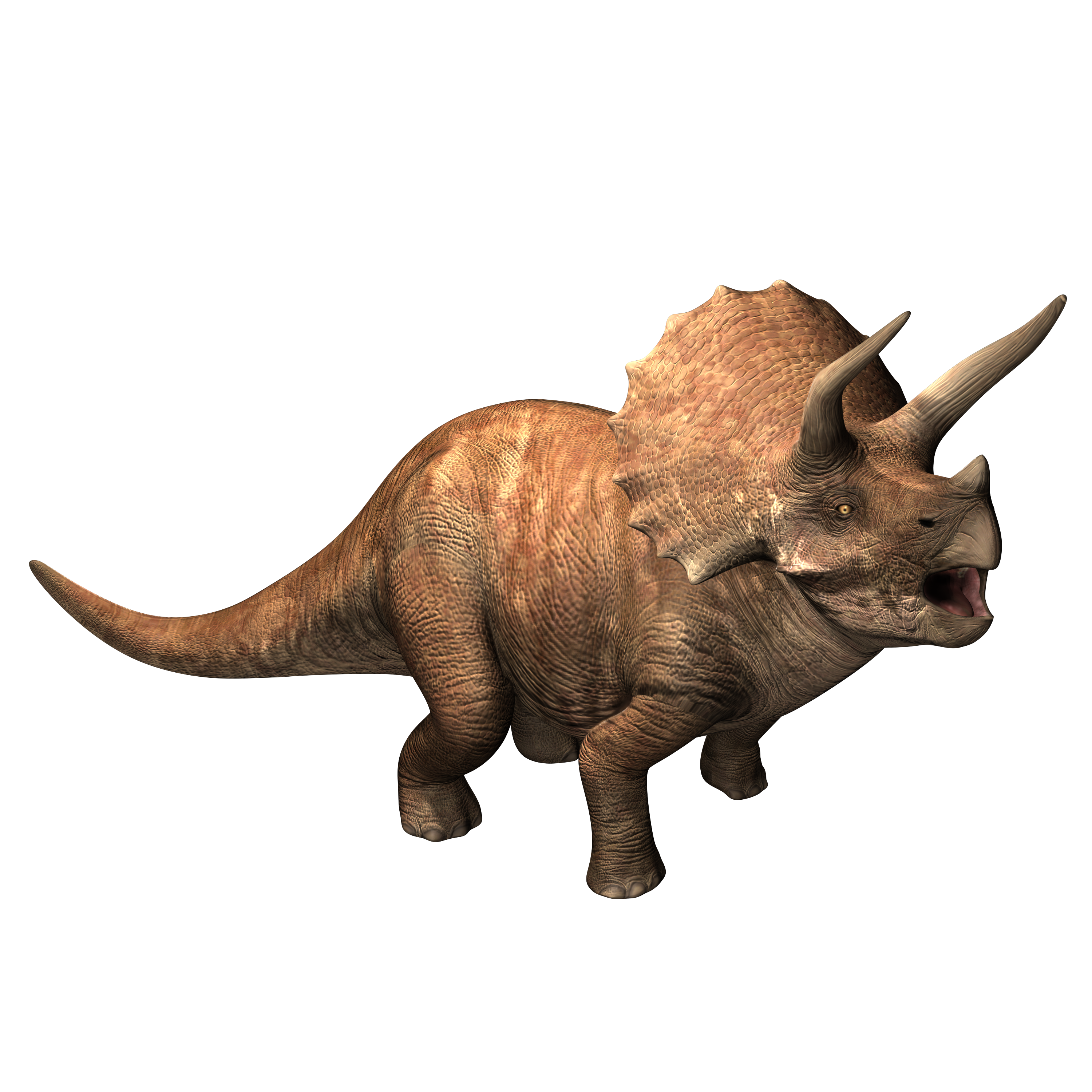 Triceratops Jurassic World Alive Wiki Fandom