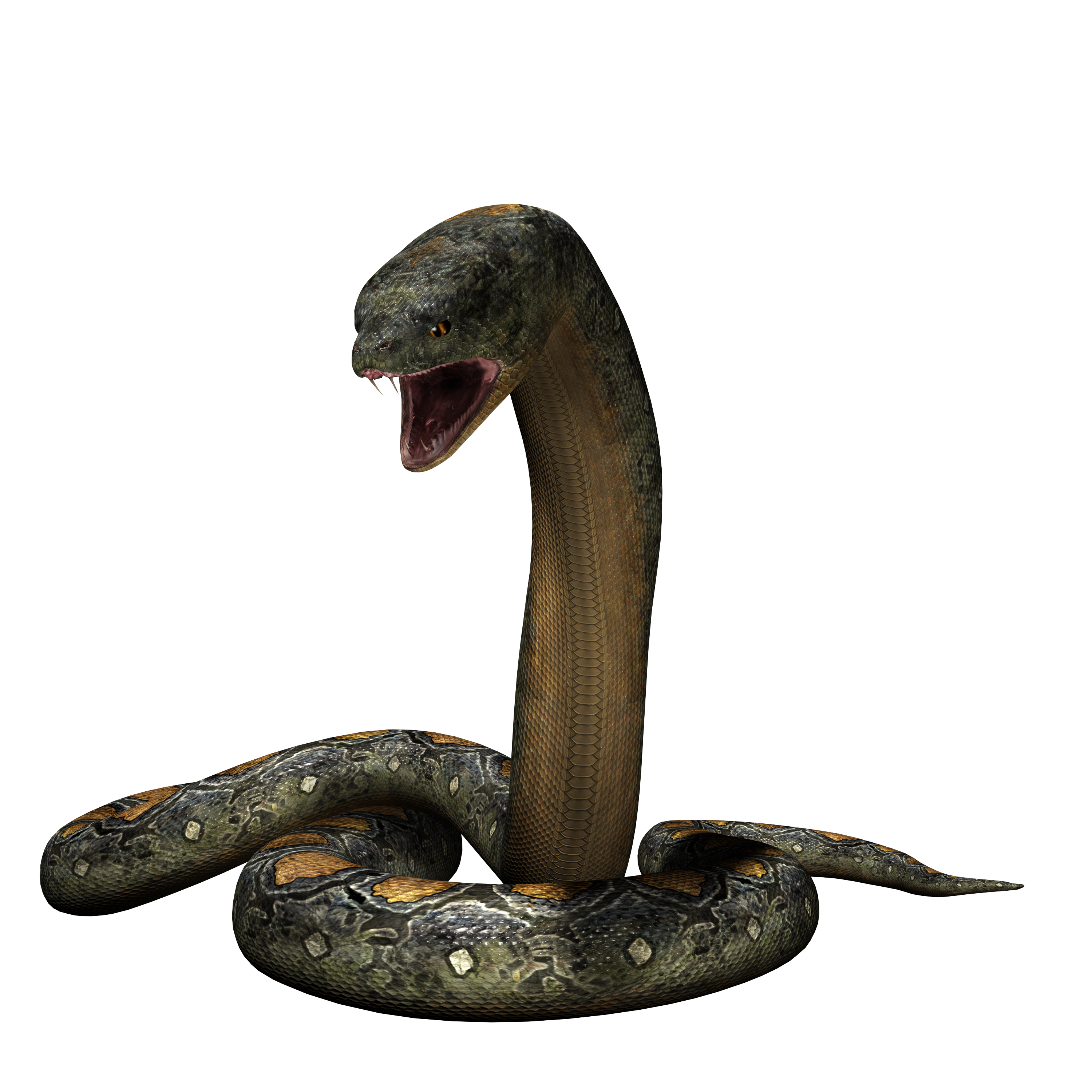 zoo tycoon 2 titanoboa