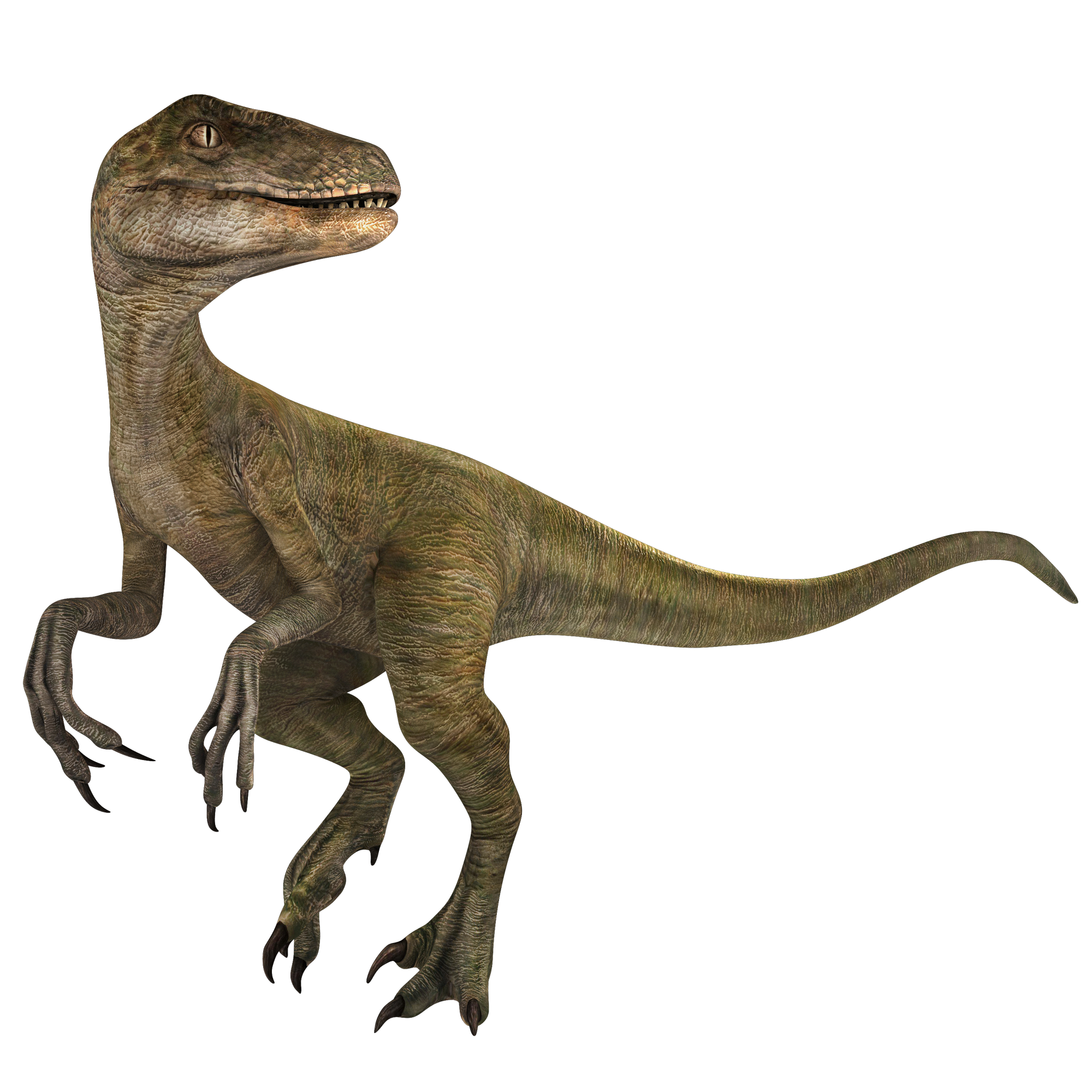 Velociraptor Jurassic World Alive Wiki Fandom 