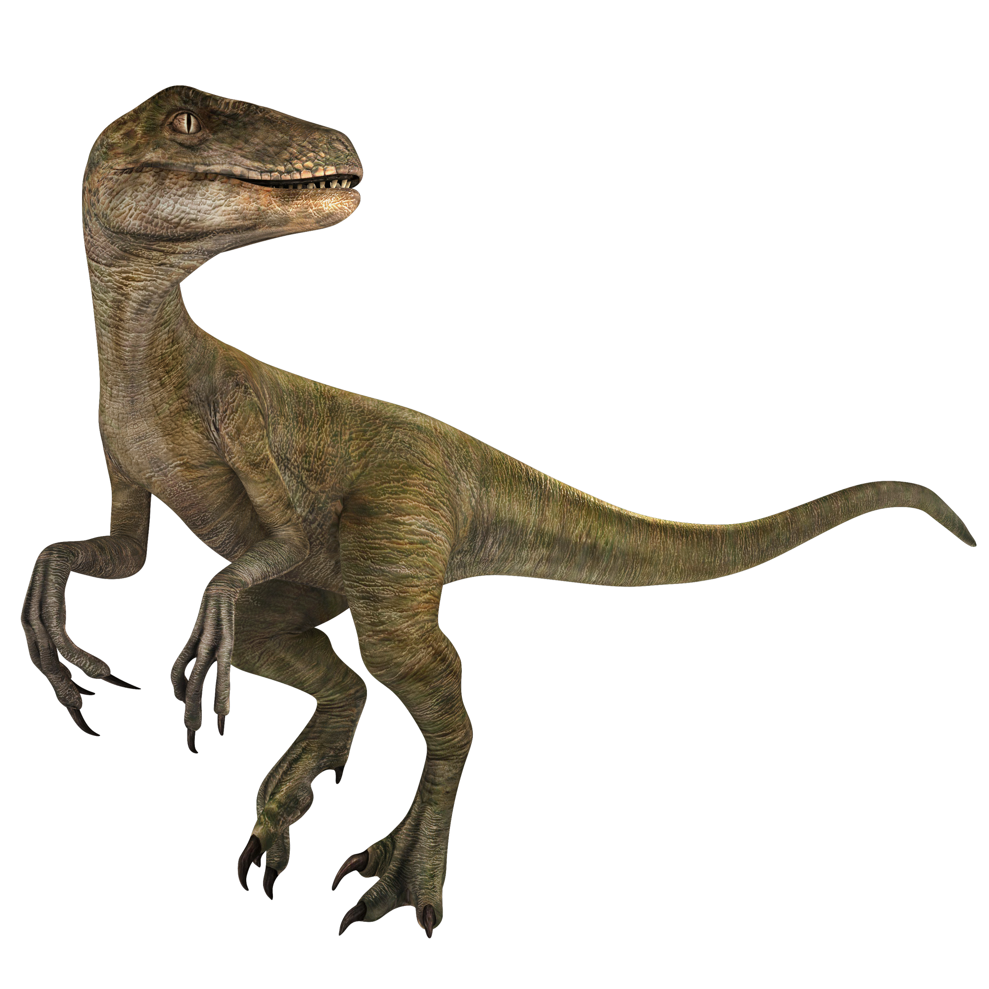 Velociraptor | Jurassic World Alive Wiki | Fandom