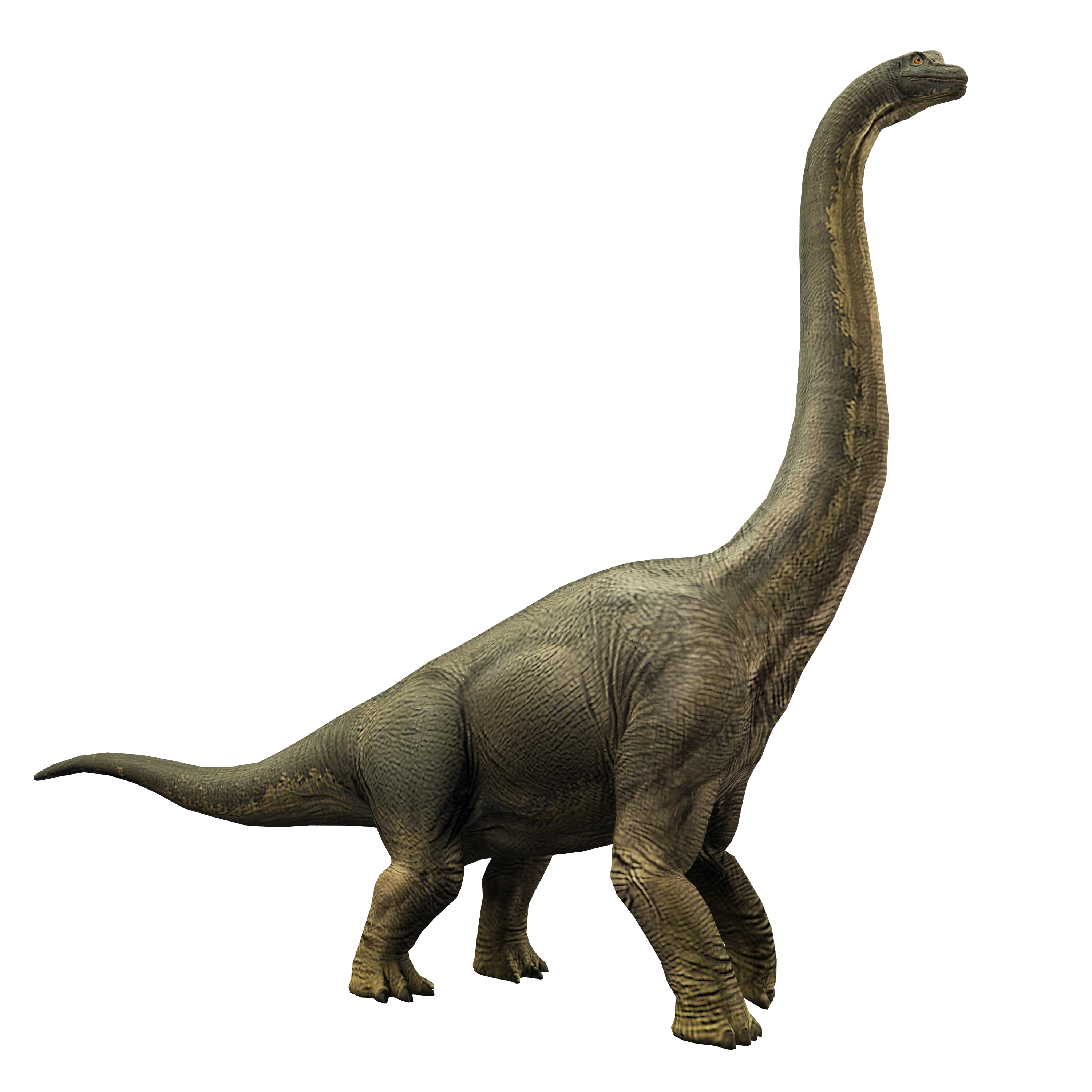 Brachiosaurus Jurassic World Alive Wiki Fandom