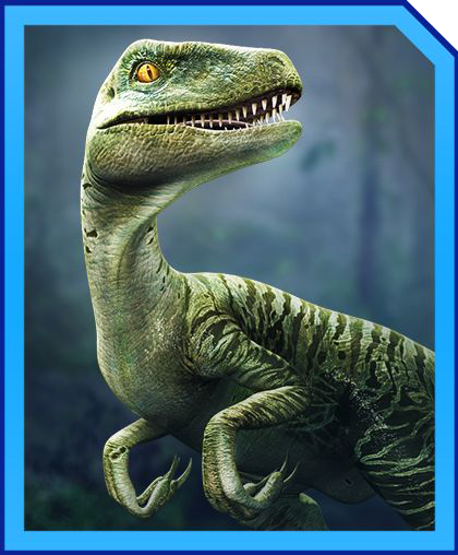 Jurassic world alive dinodex. Велоцераптор Чарли. Чарли мир Юрского периода. Чарли парк Юрского периода. Чарли динозавр.