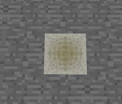 Encased Fossil