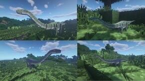 Apatosaurus3