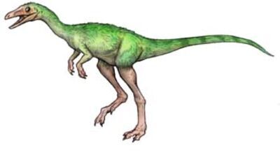 Compsognathus | Jurassic World San Diego Wiki | Fandom