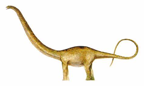 Mamenchisaurus | Jurassic World San Diego Wiki | Fandom