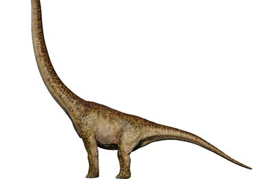 Deinocheirus - DinoPit