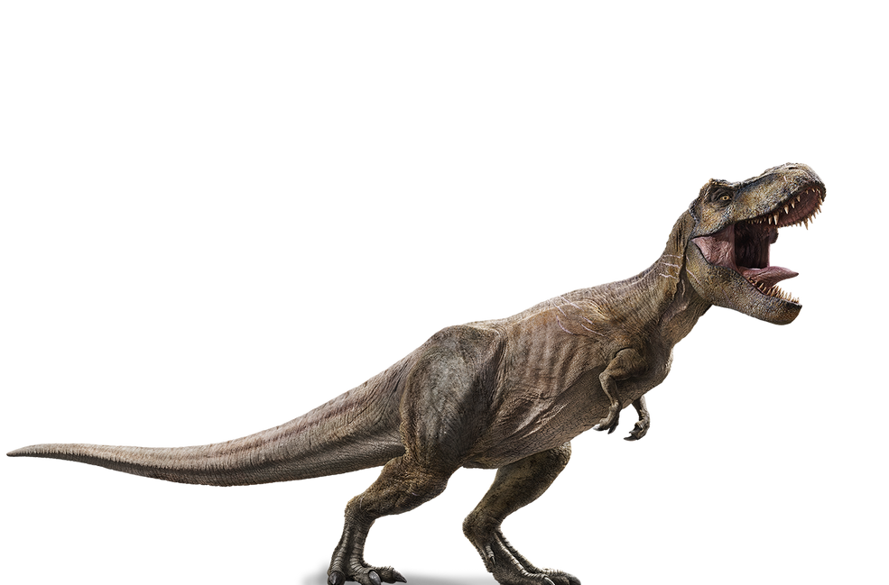 Zoologist Tyrannosaurus Rex Deluxe Bottle