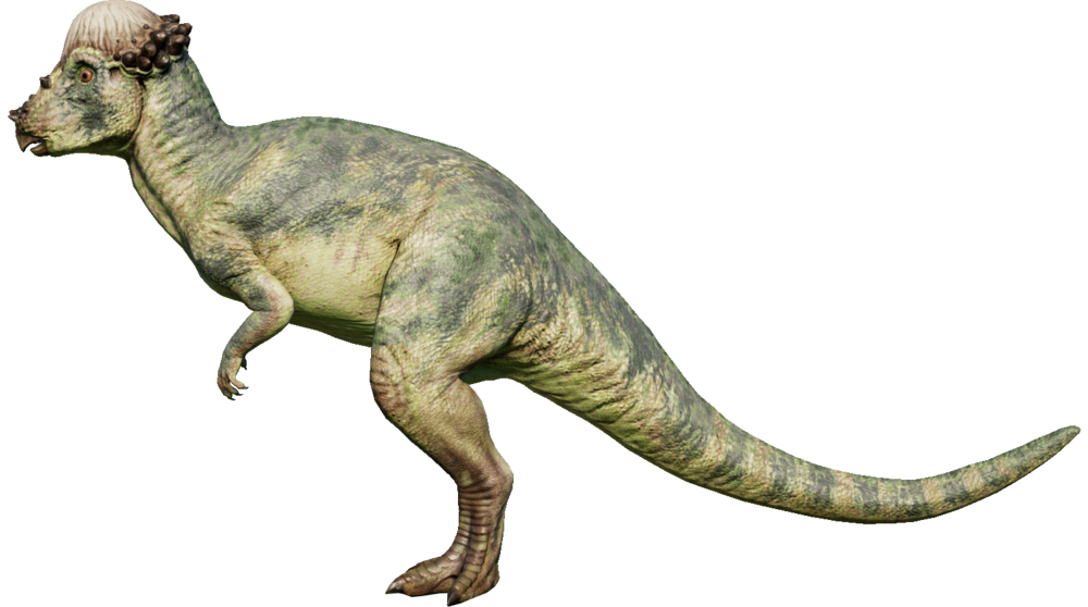 Pachycephalosaurus Jurassic World San Diego Wiki Fandom