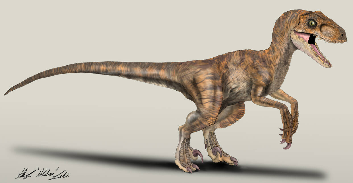 Kim | Jurassic World San Diego Wiki | Fandom