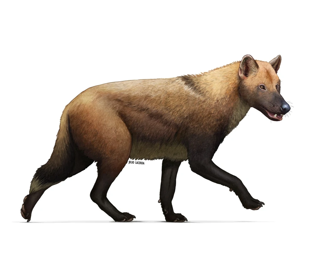 Dire Wolf | Jurassic World San Diego Wiki | Fandom