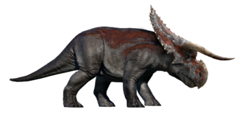 ozwrt 亀甲竜 Dioscorea Nasutoceratops ozwrt 亀甲竜 Dioscorea Nasutoceratops TOPPAGE│OZWRT