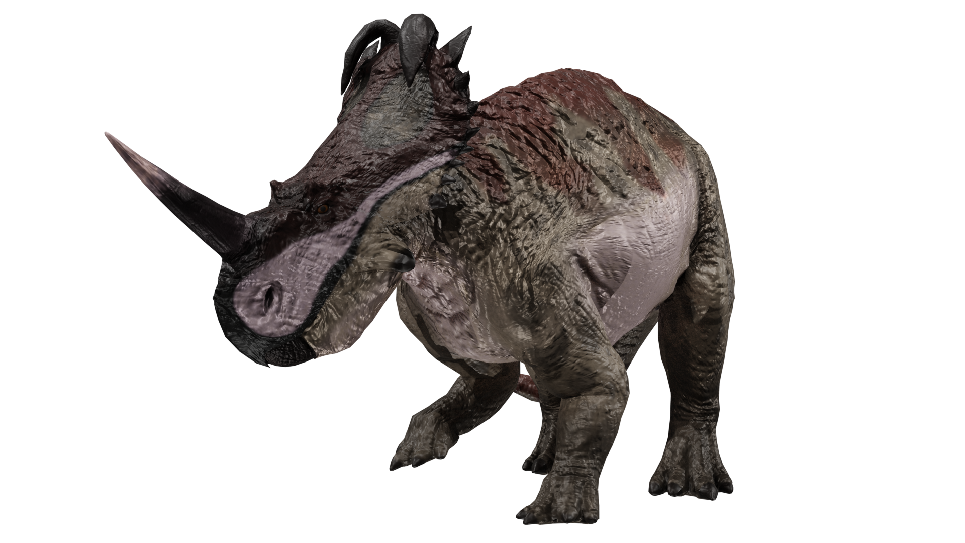 wyse・LAID・JURASSIC□EARLIEST MEMORIES Amazon.com: Mattel