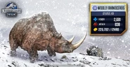 Woolly Rhinoceros Stats.jpg (117 KB)