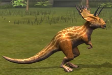 Dracoceratops lvl 10