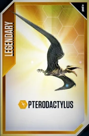 Pterodactylus Card