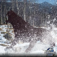 Smilodon Teaser.png (898 KB)