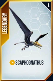 Scaphognathus Card