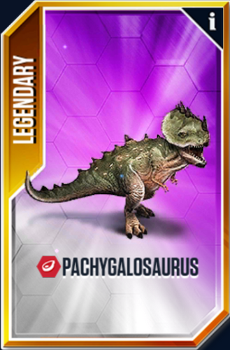 Pachygalosaurus Card