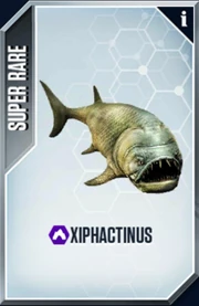 Xiphactinus Card